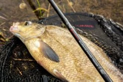 Ultimate Allround Power Feeder -Vissen Product Winkel 01299b08f65e9c2a