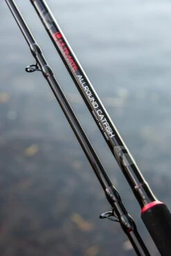 Ultimate Allround Catfish 300cm, Meervalhengel -Vissen Product Winkel 118dbeada876c8d2