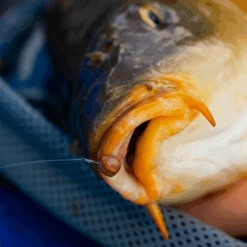 Fjuka Natural 2in1 200gram -Vissen Product Winkel 173e3a2163a6a35f