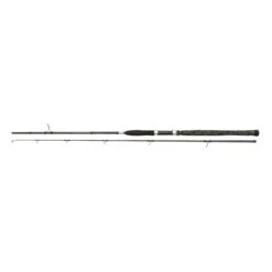 Penn Legion Cat Silver Spin 240cm 40-160g
