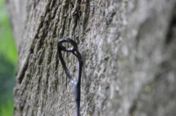 Ashima Travel FFX-S 10ft 3m 3.25Lb 5 Ashima Travel FFX-S 10ft 3m 3.25Lb -Vissen Product Winkel 4a7d69384d52c63c