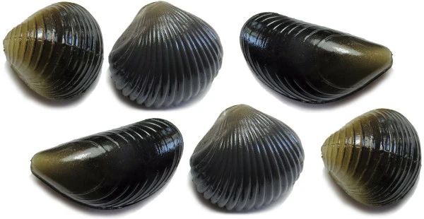 Behr Trendex Mini Carp Shells, 6 Stuks! 1 Behr Trendex Mini Carp Shells, 6 Stuks!