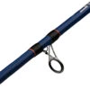 Mitchell Rod Riptide R 212 100/300 Dorade