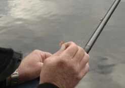 Cresta Spaghetti Balls Blood Red 9 Cresta Spaghetti Balls Blood Red -Vissen Product Winkel 7a9eca116683f06b