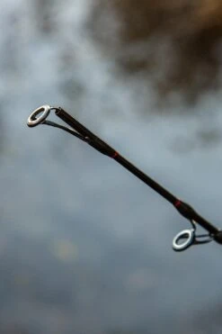 Ultimate Allround Catfish 300cm, Meervalhengel -Vissen Product Winkel 8b26784bce510e61