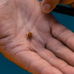 Fjuka Natural 2in1 200gram -Vissen Product Winkel d63055fda4442628